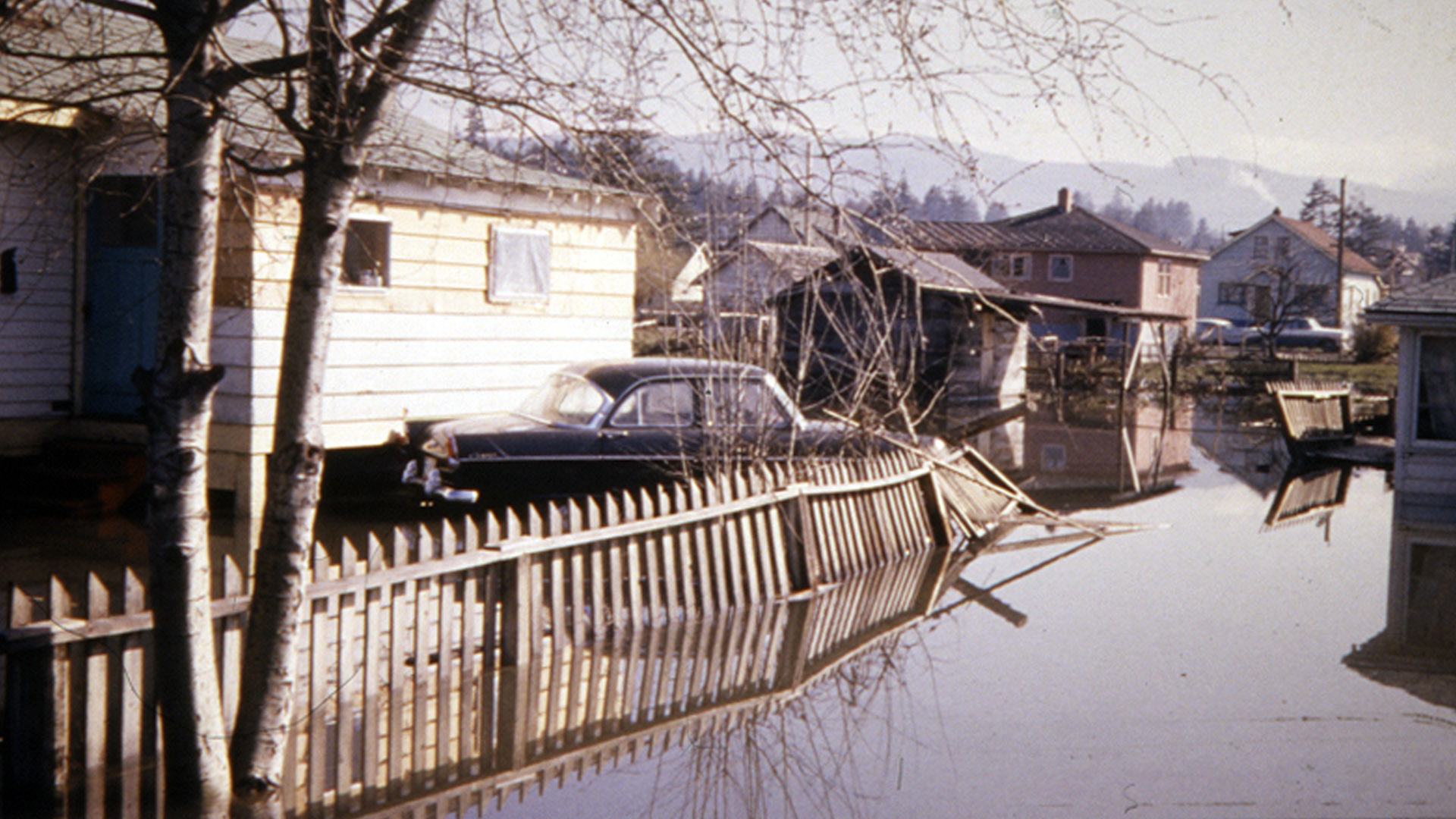 150 Stories that Shape British Columbia - E75 - '64 Tsunami