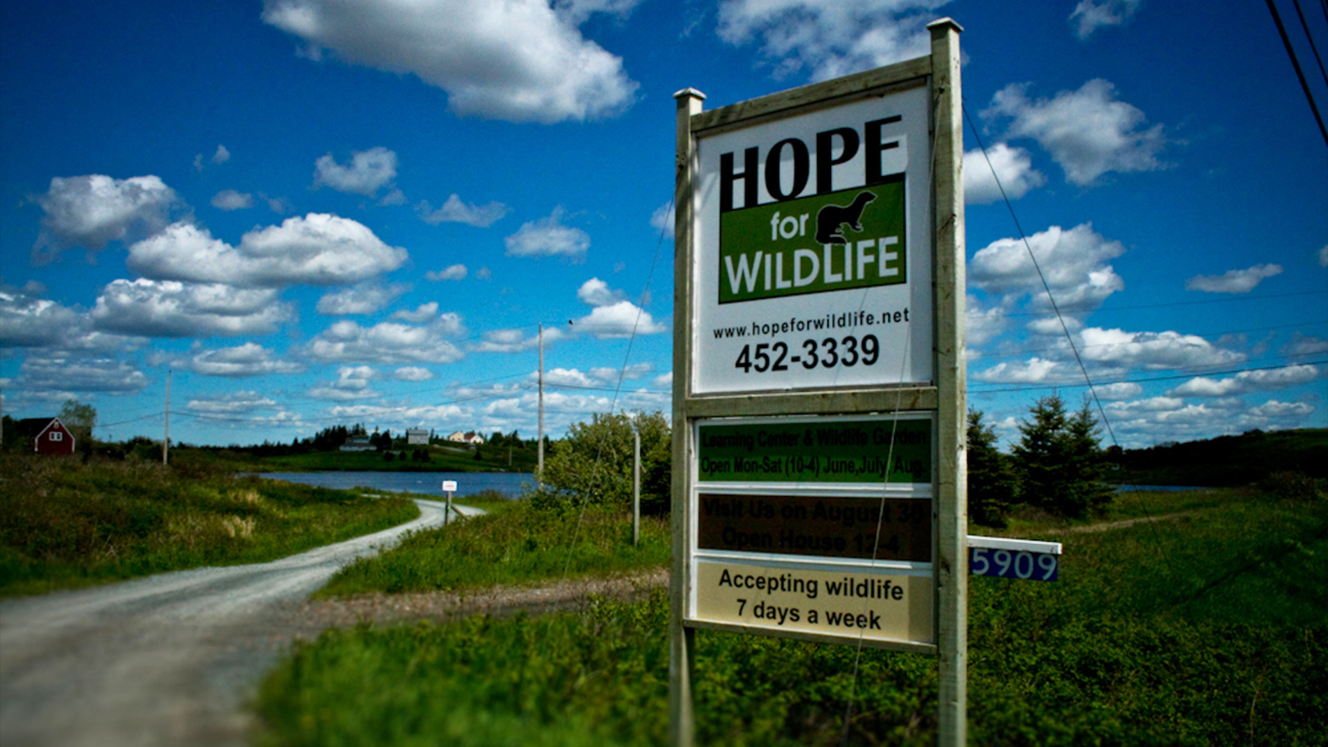 Hope for Wildlife - S1E8 - Outbreak: Part One