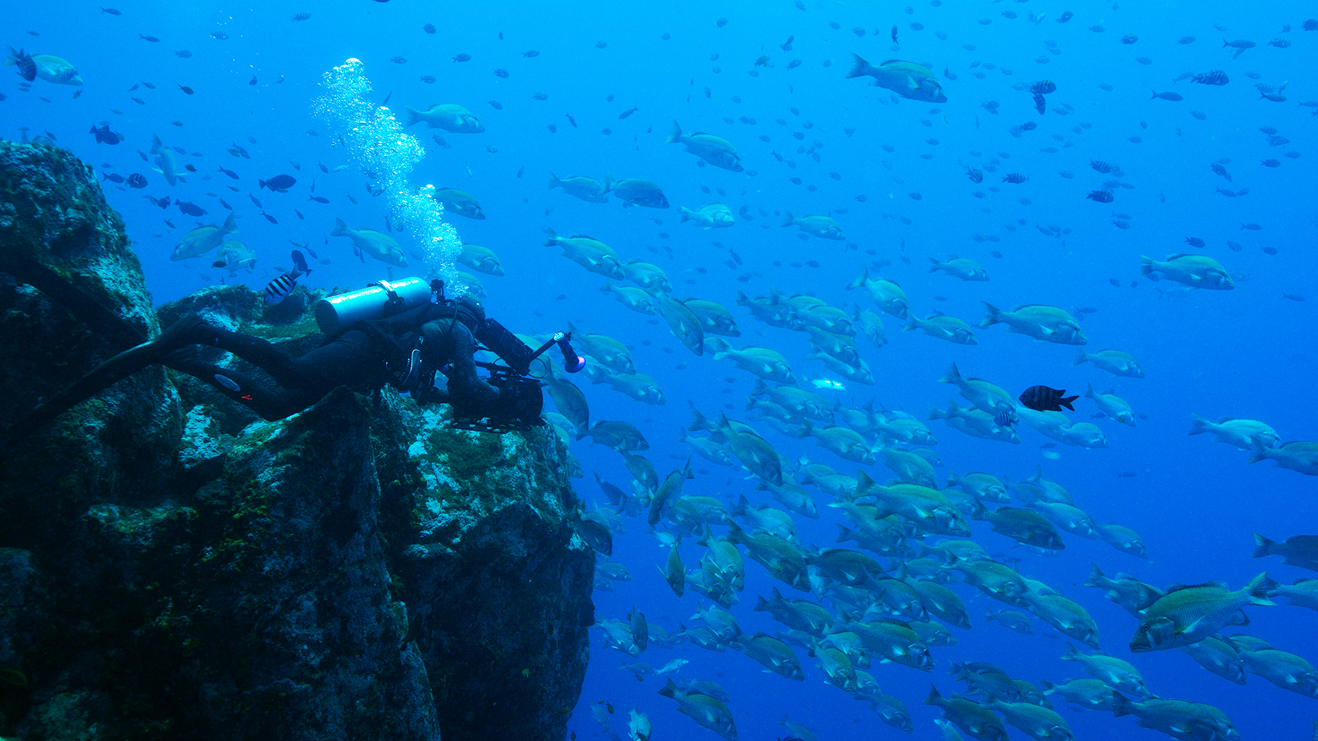 Atlantic - E2 - Mountains of the Deep (South)