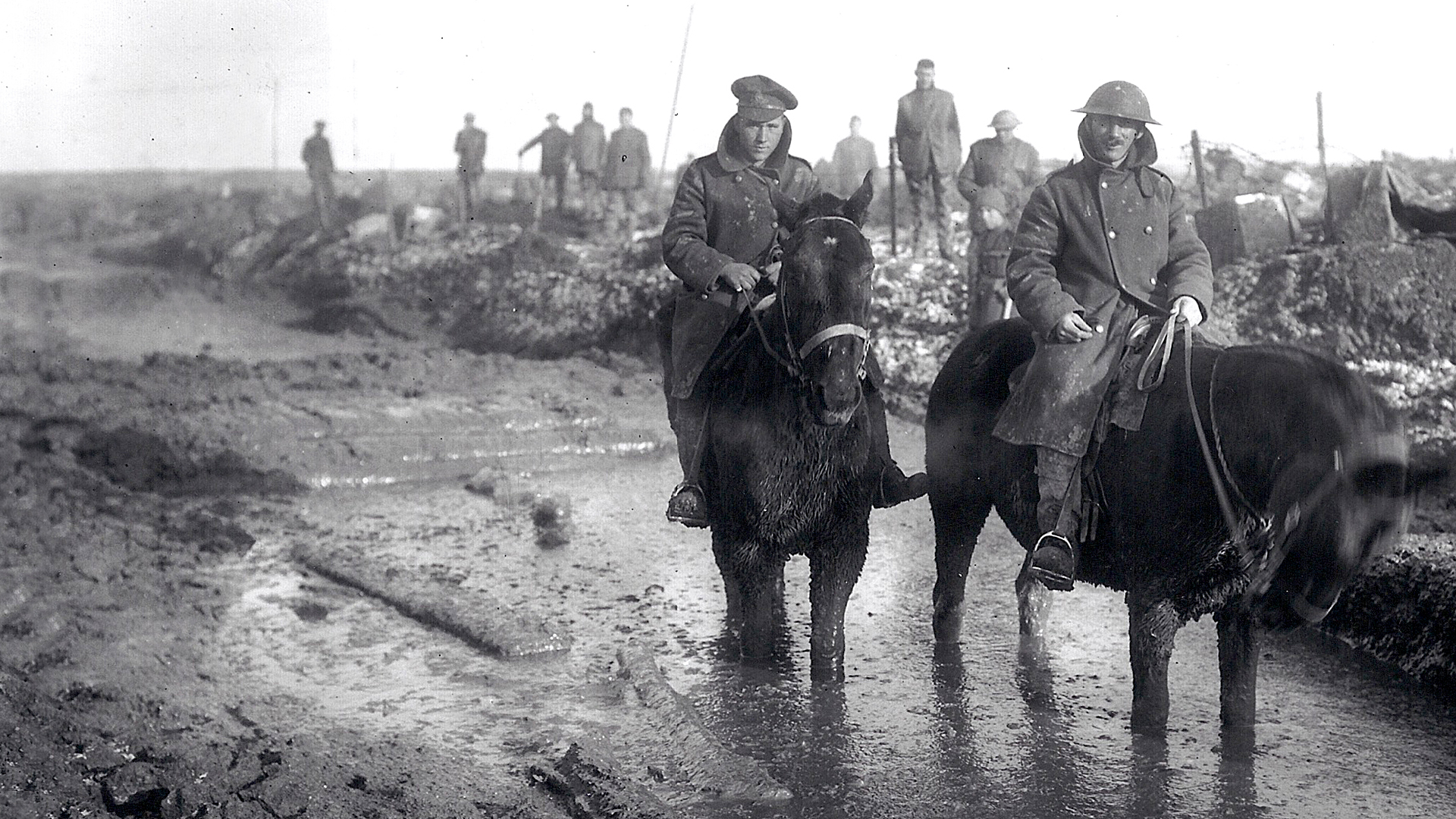 War Horse: The Real Story | Knowledge.ca