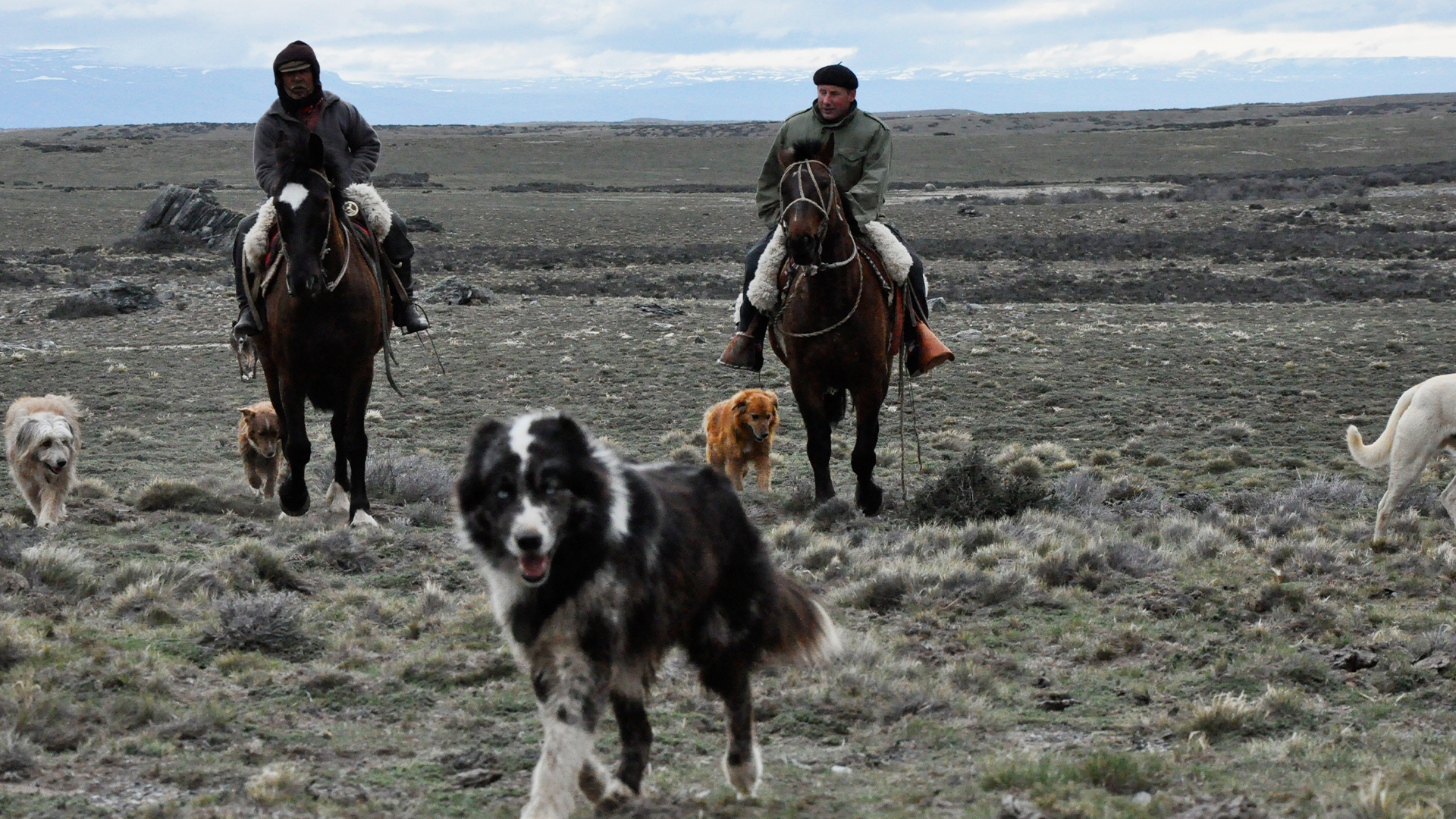 Wildest Latin America - E1 - Patagonia: The Ends of the Earth